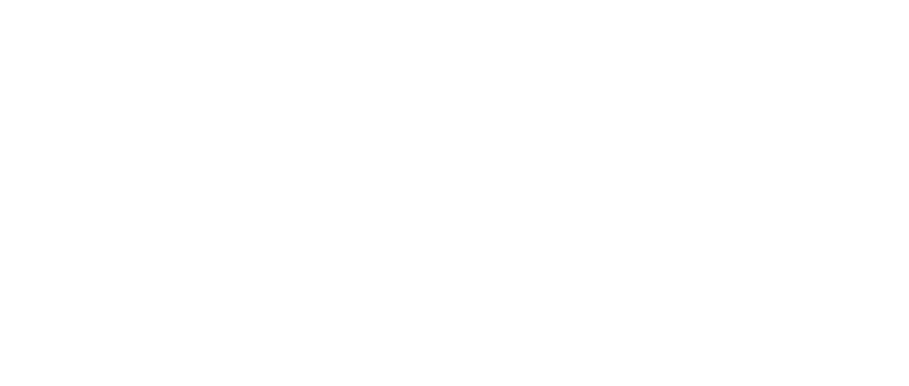 Ankoris_logo2